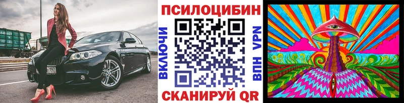 Купить Дивногорск Псилоцибиновые грибы Psilocybine cubensis